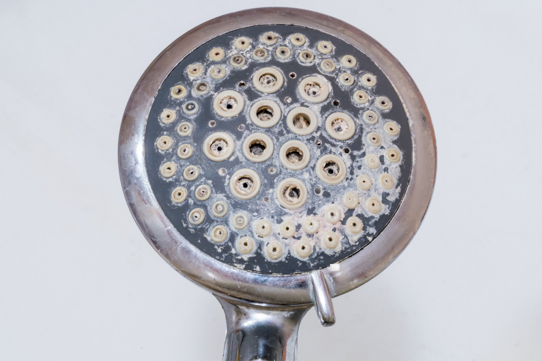 shower head covered with limescale and bacteria build up