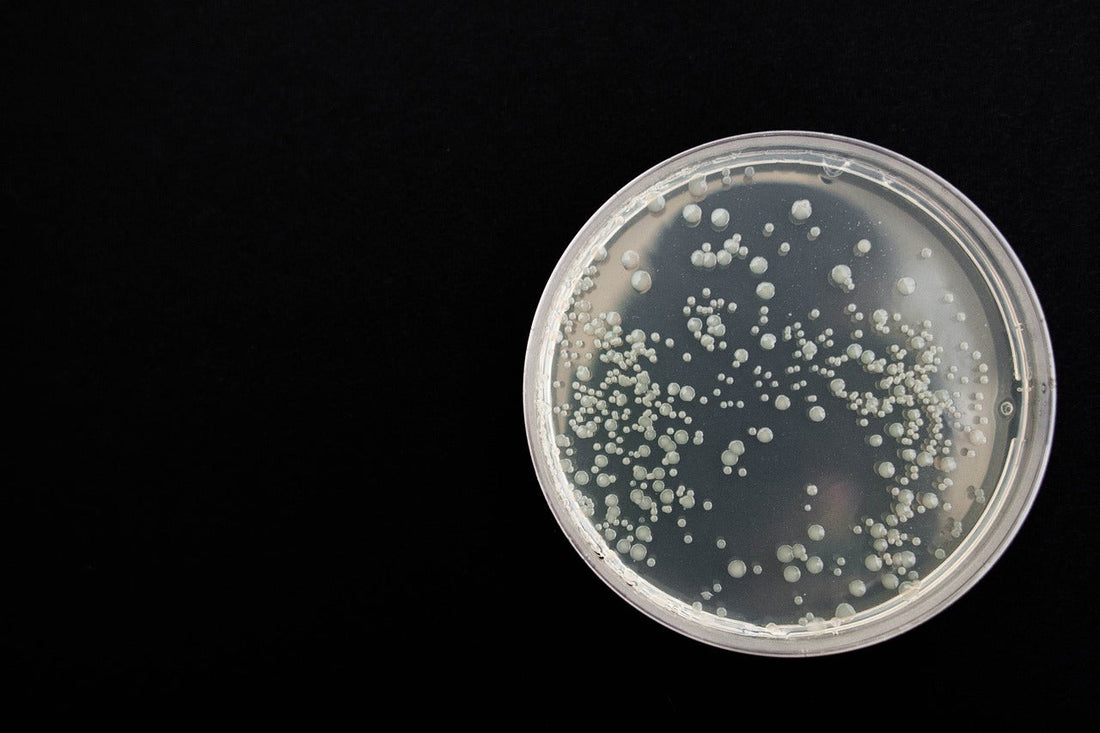 6 ways to reduce harmful legionella in healthcare water systems